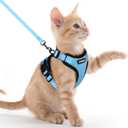 rabbitgoo Cat Harness and Leash for Walking, Escape Proof Soft Adjustable Vest Harnesses for Cats, Easy Control Breathable Reflective Strips Jacket, Light Blue, XXS