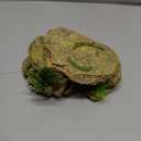 IBWell Leopard Gecko Hide Small Reptile Hides Resin Mini Reptile Basking Rock Humid Hide Turtle Cave Lizard Hide Reptile & Amphibian Habitat DCor