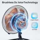 18 Inch Oscillation Floor Fan,Industrial Fan with DC Motor,5 Speed,High Velocity Metal Fan for Industrial, Commercial, Residential, Greenhouse,Black, Large