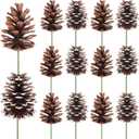 Fangoo 12Pcs 3.1-4.7in Large Natural Pine Cone Picks Snow Christmas Pine Cones with Stems for Crafts Holiday Wreath Garland Party Ornaments Flower Arrangement Fall Thanksgiving Decor (Natural White)