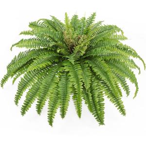 Artificial Ferns for Outdoors & Indoors, 45" Large Faux Ferns 63 Fronds Fake Boston Fern Plant for Planter Garden Porch Entrance Home Windowsill Yards Farmhouse Decoraction (1 Stem)