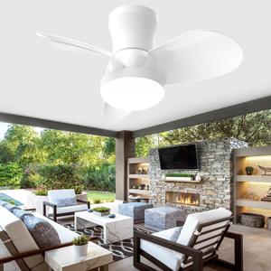 alescu Ceiling Fans with Lights and Remote-Low Profile Ceiling Fan Flush Mount, Small Ceiling Fan with 6-Speeds, White Modern Fan LED Light, 22 Inch Ceiling Fan for Bedroom, Kitchen, Patio, Garage, Outdoor
