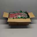 24 Pcs Christmas Parade Float Decorations Including 12 Pcs 9.9 ft Red Green Metallic Foil Fringe and 12 Pcs 9.9 ft Tinsel Garlands for Christmas Party Car Decorations