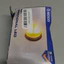 ECCO LED Flasher