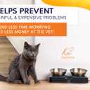 Cat Food Bowl - KATSUPREME Cat Bowls for Indoor Cats | Set of 2 Stainless Steel Bowl, Tilted Bowls Elevated Anti Vomiting, Non-Slip Base, Ant Proof Food & Water.