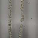 1 Yard Rhinestone Chain Trim Applique Embellishment, Crystal Chain Banding Diamond Inlaid White Pearl Beaded for DIY Jewelry Crafts Decorations, Wedding Party, Garland Strings (Pearl-1)