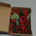 15 Pcs Artificial Red Berries Pine Stems 8 Inch,Christmas Floral Picks Holly Berry Branches Crafts for Xmas Winter Holiday Decor Greenery