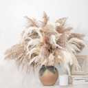 28" inch 20 Stems Large Pampas Grass Decor - Fluffy Brown & White Pampas Grass Decor Tall Pompas Grass for Floor Vase - Boho Home Decor Wedding Decor Natural Flower Bouquet (10 Brown & 10 White)