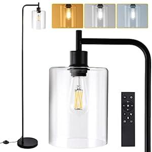 Litake Industrial Floor Lamp- Black, Dimmable Modern Standing Lamp with Clear Glass Shade, Black Tall Lamp with Remote & Foot Control, LED Bright Corner Lamp with 6W Bulb for Living Room Bedroom Office