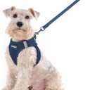 rabbitgoo Dog Harness Small Sized and Leash Set, Step in Soft Light Puppy Vest, Breathable Mesh Pet Harness, Reflective for Outdoor Safe Walking, Navy Blue XXL