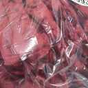 Westinghouse Heated Blanket Full Size - Electric With 10 Heating Levels, 1-12 Hours Auto Shut Off, Fast Warming, Machine Washable (Full, 72x84 Inches, Wine Red)