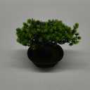 Artificial Plants Greenery Bonsai, Room Decor Fake Bonsai Tree for Home Decor Indoor Bookshelf Office Desk Bathroom Farmhouse Decor, Tall 9.5"
