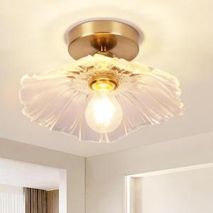 Chandelier, Flush Mount Ceiling Light, Clear Glass Shade Light Fixture, 1 Light Lighting Fixture for Bedroom,Dining Room,Kitchen, Hallway (Clear 4111CL)