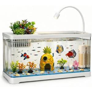 5 Gallon Fish Tank Aquarium Starter Kit with Filter and Light, All in One Small Fish Tank for Betta, Kids & Desktop Use, Self Cleaning Nano Aquarium with Lid(Large White)