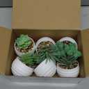 Der Rose Set of 6 Succulents Plants Artificial in Pots Small Fake Plants for Bedroom Aesthetic Living Room Shelf Bathroom Decor Office Desk Accessories (Green)