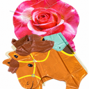 Birthday Party Decorations Supplies ballon Horse and Rose