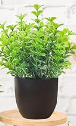Der Rose 4 Pack Small Fake Plants Mini Artificial Faux Plants in Pots for Home Office Bedroom Living Room Decor