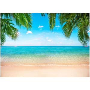 Beach Ocean Backdrop, Hawaii Tropical Background Summer Photography Picture Luau Theme Party Decorations, Ladvis 82.7"x59" Aloha Birthday Wedding Decor Banner Photo Studio Photoshoot Props (Blue)