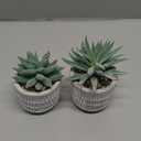 Der Rose Set of 2 Succulents Plants Artificial Fake Cactus Plants for Living Room Bathroom Bedroom Aesthetic Home Shelf Decor