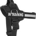Essential Dog Harness, No Pull Pet Harness with 3 Side Rings for Leash Placement, No Choke, Reflective, Adjustable Pet Vest, Easy On-Off & Improved Control Handle, Training, Walking, Running (M (Neck:18-26", Chest:21-25"), Black)