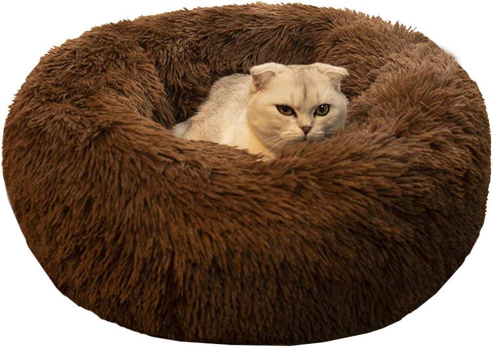 BODISEINT Modern Soft Plush Round Pet Bed for Cats or Small Dogs, Mini Medium Sized Dog Cat Bed Self Warming Autumn Winter Indoor Snooze Sleeping Cozy Kitty Teddy Kennel (20'' D x 8'' H, Chocolate)