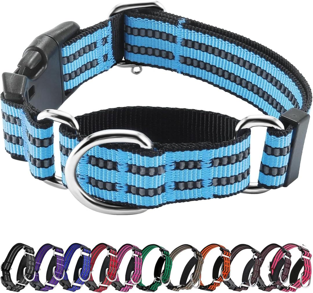 Hikiko Martingale Dog Collars Reflective Nylon Dog Collar with Quick Release Buckle Adjustable Training No Slip Dog Collar (Medium, Light Blue)