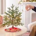 Hallmark Keepsake Star Trek Mini Christmas Ornament (U.S.S. Voyager) 0.25" Tiny Ornament for Tabletop Tree