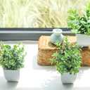 Der Rose 4 Pack Fake Plants Mini Artificial Greenery Potted Plants for Home Decor Indoor Office Table Room Farmhouse Bathroom Decor