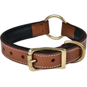 | Genuine Leather Adventure Dog Collar | Full Grain, Heavy Duty | With inner Cushioned padding | Best for Medium, Large & XL Dogs (Large (Fit Neck Size 18.5"-22.5"), Brown With Center O Ring)