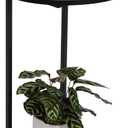 HDANI C End Table,Couch Table That Slide Under,Small Sofa Side Table in Living Room,Bedroom,Black