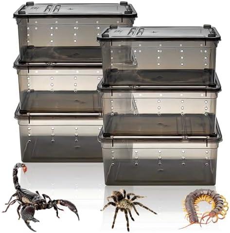 VCEPJH 6 Pcs Jumping Spider Enclosure, 7.48 X 4.92 X 2.95in Insect Cage Transparent Tarantula Spiderling Terrarium Plastic Hatching Container Breeding Box for Small Reptile Scorpion Centipede, Black
