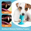 Double Suction Cup Dog Toys Set For Aggressive Chewers 100% Rubber (3 In 1), Teeth Cleaning Toothbrush Toy Stops Plaque & Tarter, Cherry Blossom Waste Bag Dispenser Bonus, Tug Of War Toy For Dog's IQ