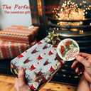 Red Cardinal Christmas Ornaments - 3 Pcs Polystyrene Christmas Tree Decoration, Red Cardinal Christmas Bereavement Gifts for Women Men, Sympathy Gifts for Loss of Loved One