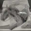 addlon Ceiling Fans with Lights and Remote, 20'' Low Profile Ceiling Fans, 3000-6000K Dimmable Modern Flush Mount LED Fan Light, Fandelier Ceiling Fan for Bedroom, Kitchen, Living Room, Black