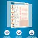 Whole Body Vibration Plate Exercise Poster Set - 6 Workout Guides & 2 Customizable 30-Day Plans for Home & Gym Use