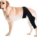 Dog Knee Brace for Torn ACL Hind Leg，Comfortable and Adjustable Support Brace with Two Stabilizer，Dog Leg Braces for Back Leg with Extra Support，Arthritis Relief and Surgery Recovery (L)