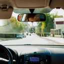 Guinea Pig Ornament, Just a Girl Who Loves Guinea Pigs Crystal Ornaments Gifts for Lovers Women, Guinea Pig Decorative Hanging Ornament for Christmas Tree