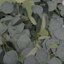 2 Pack Artificial Eucalyptus Garland Each 6.5 FT Faux Greenery Garland for Wedding Mantle Table Runner DIY Garlands Decor