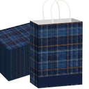 Kolldenn 24 Pcs Blue and Green Plaid Gift Bags Bulk with Handles Tartan Plaids Decorations Baby Shower Paper Goodie Bags for Bear Themed Baby Shower Birthday Party Wedding Fiesta Decorations