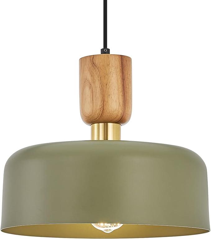 Contemporary Pendant Lighting,12 inch Pendant Lamp,Wood and Brass Accent,Adjustable Metal Hanging Light Fixture for Kitchen, Dining Room, Green
Visit the TeHenoo Store