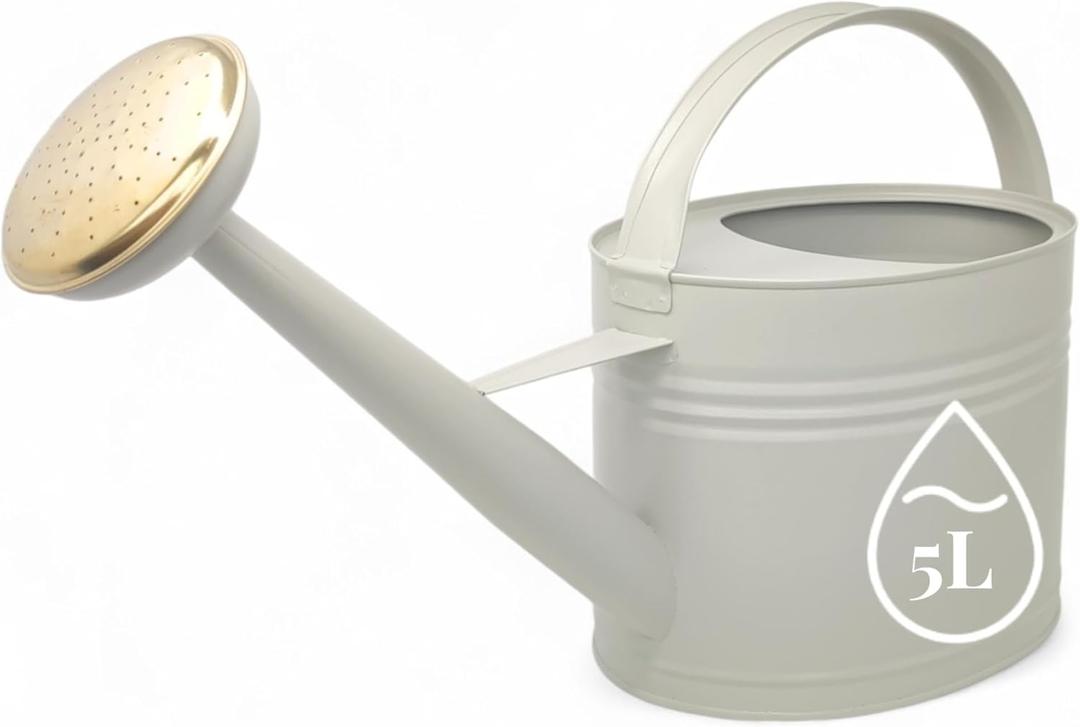 Metal Watering can 1+ Gallon with Removable Spray Head, Hot-Dip Galvanized Water Can for Plants Outdoor, Watering Can Metal 1.3 GAL, 5 Liters, Grey