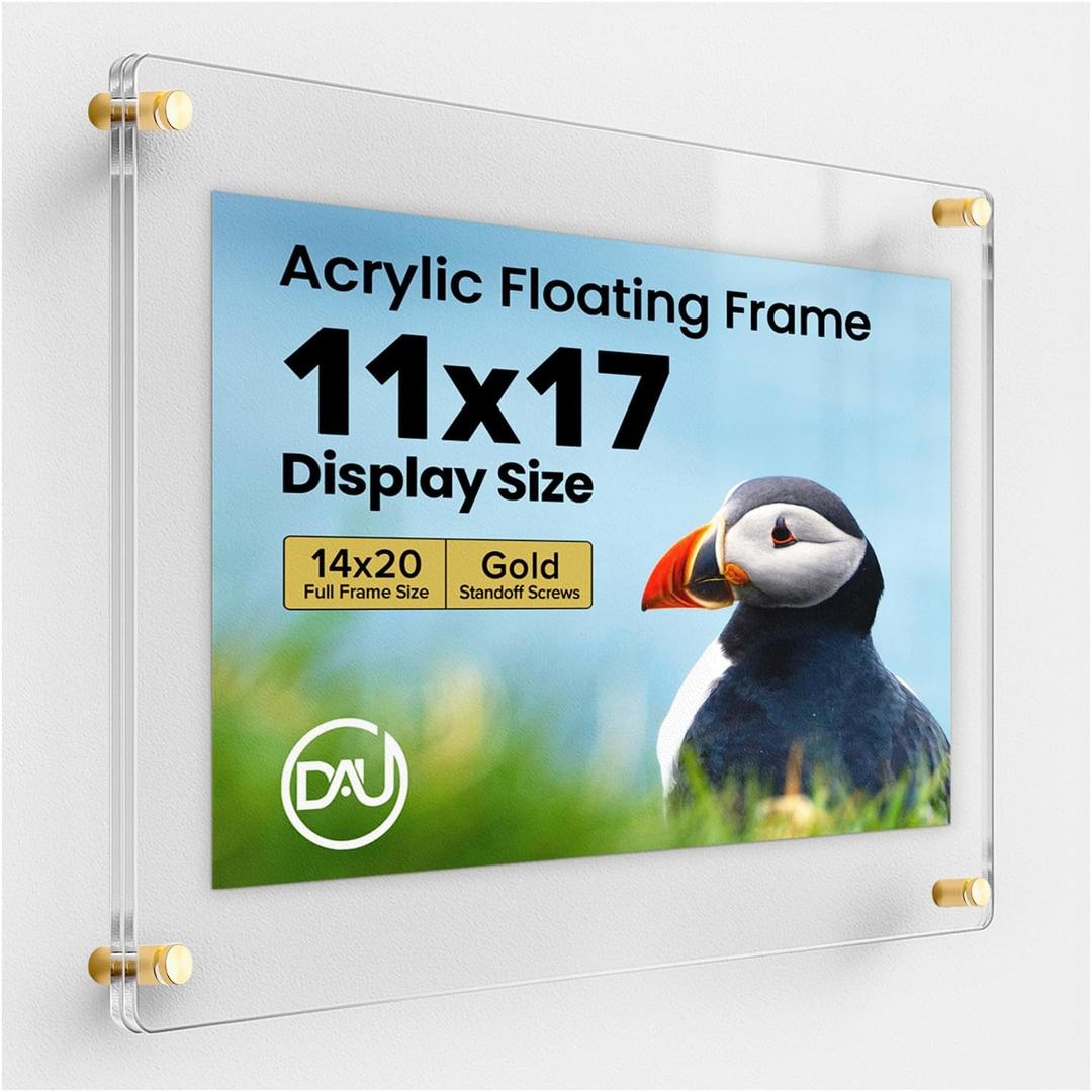Acrylic Floating Frames Gold Standoffs(single) 11" x 17" Clear Acrylic Frames for Wall Mount Floating Picture Frame, Diploma Poster Certificate Hanging Photo Display Degree Prints Artwork Documents, Fits 11" x 17" Photo