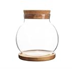 Plant Propagation Station,Hydroponic Glass Container Vase Jars, with Wooden Saucer for Desks, Houses, Garden Decorations, Home Kitchen Decorations and Gifts for Plant Lovers, Pack of 1