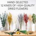 12kinds Natural Dried Flowers DIY kit ,10~12inch,Handpicked Including Lavender/Eucalyptus/Wheat,for Home Office Wedding Decor, Low-Maintenance
