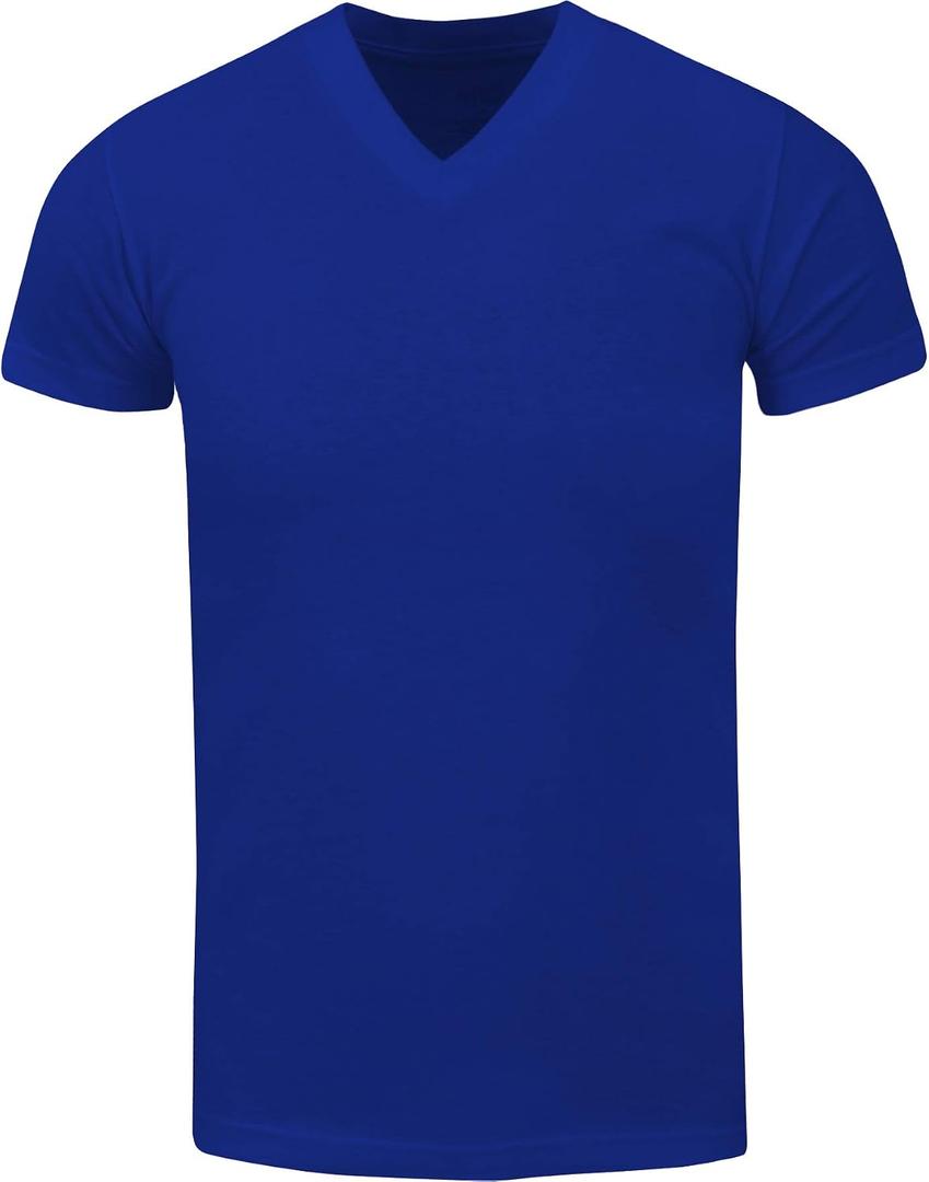 Men's Heavyweight Cotton T Shirt Basic 6.2 Ounce Short Sleeve V Neck Plain Tee Top Tshirts Regular Big and Tall Size (Blue, S)