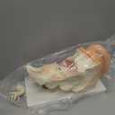 EVOTECH SCIENTIFIC Human Ear Anatomy Model with Base, 4 Parts 3X Enlarged