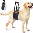 LOOBANI Dog Lift Harness for Back Legs, Portable Dog Sling for Large Dogs Hind Leg Support, Comfortable Leg Support Assistance for Elderly Dogs with Hip, ACL Brace, Senior, Injured, Large