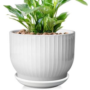 8 Inch Plant Pot,Ceramic Planter with Drainage and Saucer,Ceramic Pots for Plants,Indoor Plant pots,Ceramic Flower pots(Pure White, Plants NOT Included)
