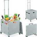 Foldable Shopping Trolley, Collapsible Basket on Wheels, 35 kg Capacity, Telescopic Handle, Mesh, Grey, Iron, 100 x 44 x 39 cm (Gray)