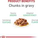 Royal Canin - Digestive Care Chunks in Sauce Adult Wet Cat Food, 3 oz Packets (Pack of 12), Chicken Flavor, Best By July 23, 2027